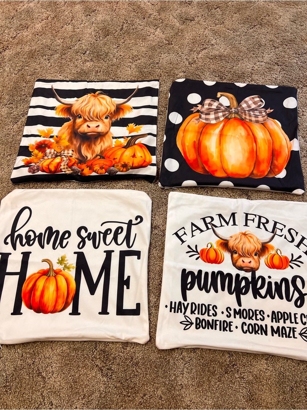 Farm Fresh Pumpkin Decorative Pillow Covers - Orange and white Fall Accent